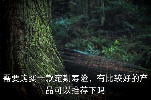 需要購買一款定期壽險，有比較好的產(chǎn)品可以推薦下嗎