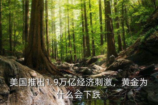 美國(guó)推出1.9萬(wàn)億經(jīng)濟(jì)刺激，黃金為什么會(huì)下跌