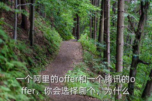 一個阿里的offer和一個騰訊的offer，你會選擇哪個，為什么
