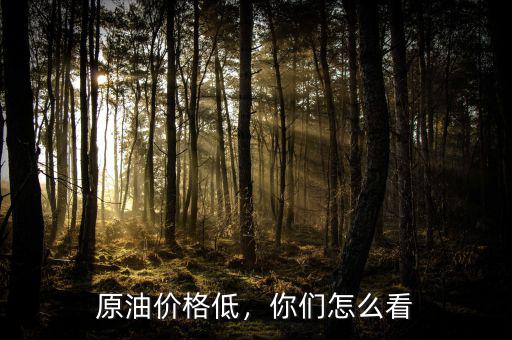 原油價(jià)格低，你們?cè)趺纯? class=