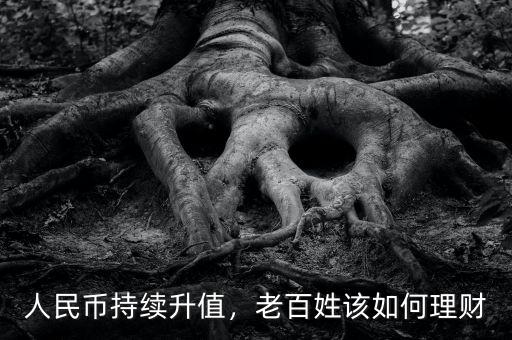 人民幣持續(xù)升值，老百姓該如何理財(cái)