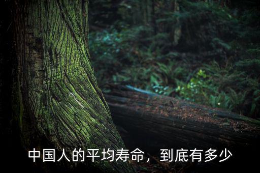 中國人的平均壽命，到底有多少
