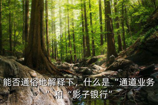 能否通俗地解釋下，什么是“通道業(yè)務(wù)”和“影子銀行”
