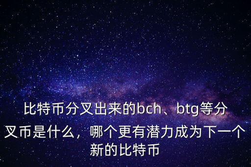 比特幣分叉出來(lái)的bch、btg等分叉幣是什么，哪個(gè)更有潛力成為下一個(gè)新的比特幣