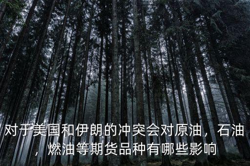 對(duì)于美國(guó)和伊朗的沖突會(huì)對(duì)原油，石油，燃油等期貨品種有哪些影響