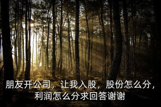 朋友開公司，讓我入股，股份怎么分，利潤(rùn)怎么分求回答謝謝