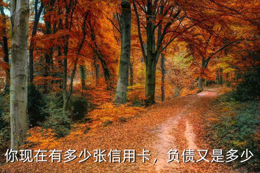 你現(xiàn)在有多少張信用卡，負(fù)債又是多少