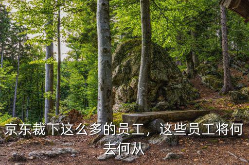 京東裁下這么多的員工，這些員工將何去何從