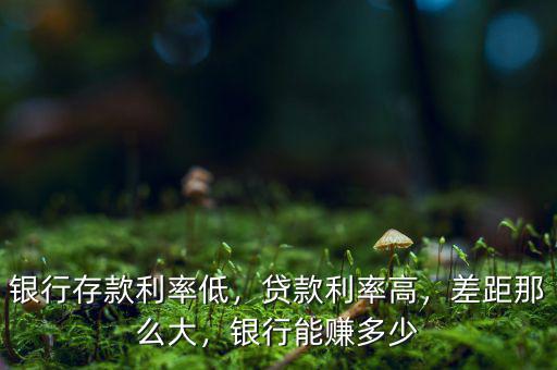 銀行存款利率低，貸款利率高，差距那么大，銀行能賺多少