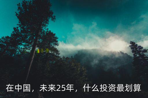 在中國，未來25年，什么投資最劃算