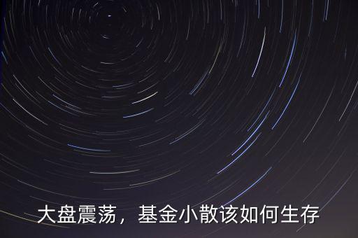 大盤(pán)震蕩，基金小散該如何生存