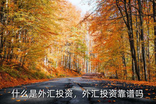 什么是外匯投資，外匯投資靠譜嗎