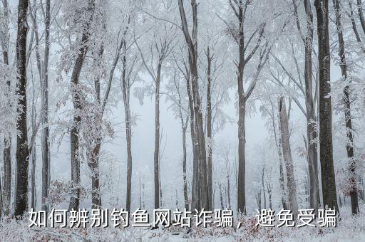如何辨別釣魚(yú)網(wǎng)站詐騙，避免受騙