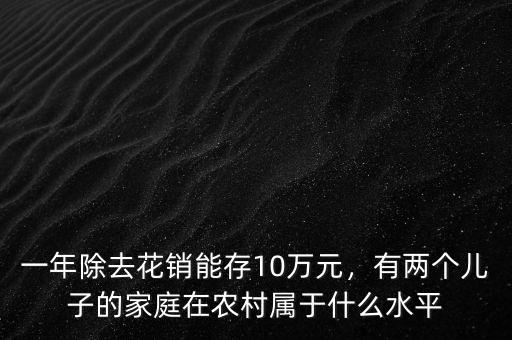 一年除去花銷能存10萬元，有兩個(gè)兒子的家庭在農(nóng)村屬于什么水平
