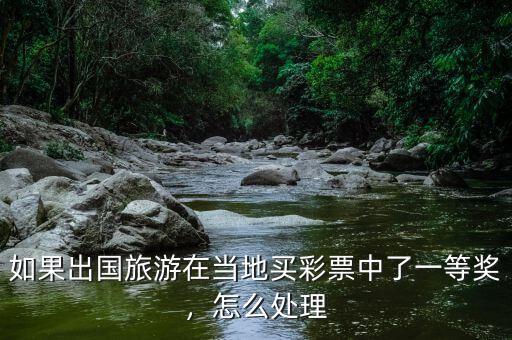 如果出國旅游在當(dāng)?shù)刭I彩票中了一等獎，怎么處理