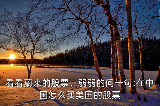 看看蔚來的股票，弱弱的問一句:在中國(guó)怎么買美國(guó)的股票