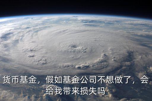 貨幣基金，假如基金公司不想做了，會(huì)給我?guī)?lái)?yè)p失嗎