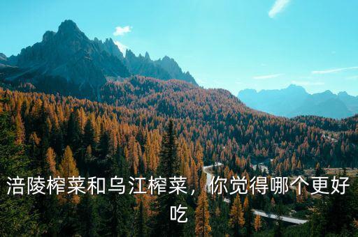 涪陵榨菜和烏江榨菜，你覺得哪個(gè)更好吃