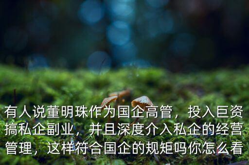 有人說董明珠作為國企高管，投入巨資搞私企副業(yè)，并且深度介入私企的經(jīng)營管理，這樣符合國企的規(guī)矩嗎你怎么看