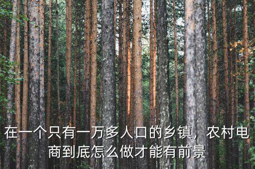 在一個(gè)只有一萬(wàn)多人口的鄉(xiāng)鎮(zhèn)，農(nóng)村電商到底怎么做才能有前景