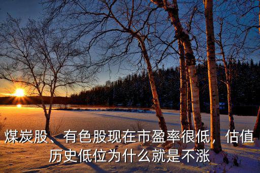 煤炭股、有色股現(xiàn)在市盈率很低，估值歷史低位為什么就是不漲