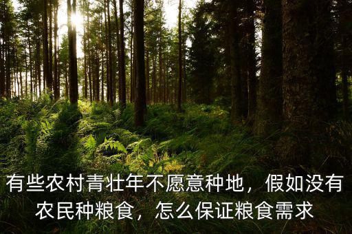 有些農(nóng)村青壯年不愿意種地，假如沒有農(nóng)民種糧食，怎么保證糧食需求