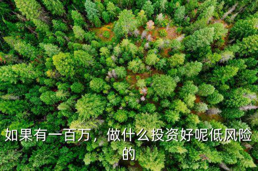 如果有一百萬(wàn)，做什么投資好呢低風(fēng)險(xiǎn)的