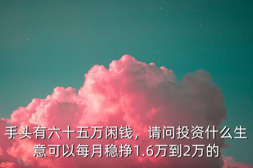 手頭有六十五萬閑錢，請(qǐng)問投資什么生意可以每月穩(wěn)掙1.6萬到2萬的