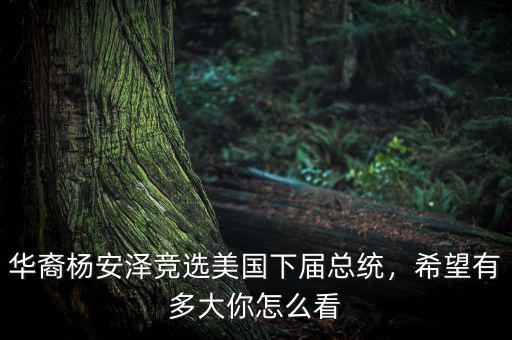 華裔楊安澤競選美國下屆總統(tǒng)，希望有多大你怎么看