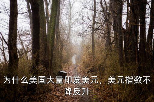 為什么美國(guó)大量印發(fā)美元，美元指數(shù)不降反升