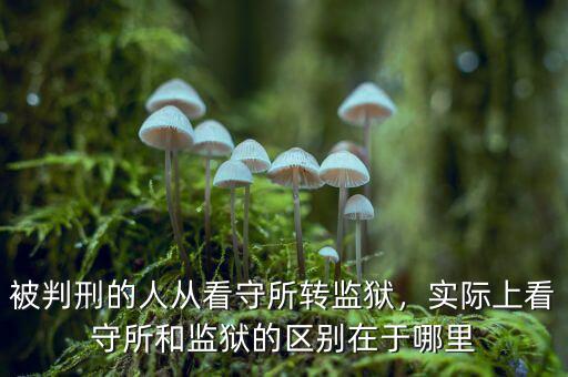 被判刑的人從看守所轉(zhuǎn)監(jiān)獄，實際上看守所和監(jiān)獄的區(qū)別在于哪里