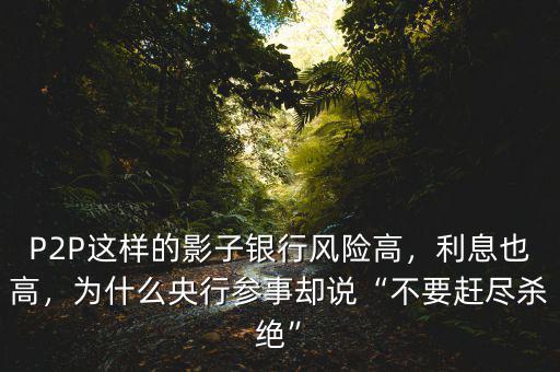 向影子銀行借錢(qián)有什么風(fēng)險(xiǎn),什么是影子銀行