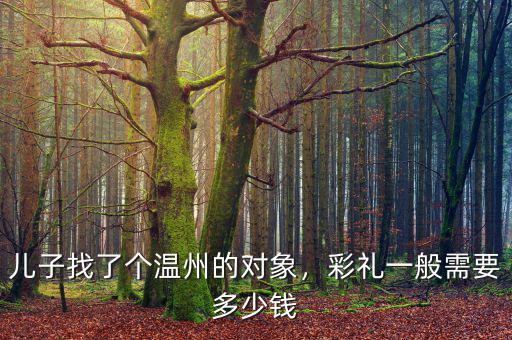 兒子找了個溫州的對象，彩禮一般需要多少錢