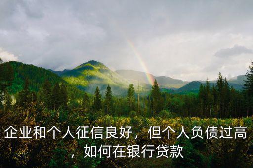 企業(yè)和個人征信良好，但個人負債過高，如何在銀行貸款