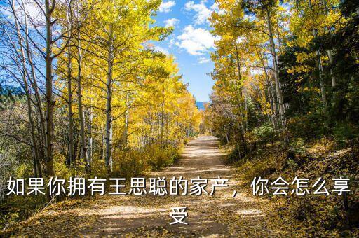 如果你擁有王思聰?shù)募耶a(chǎn)，你會怎么享受