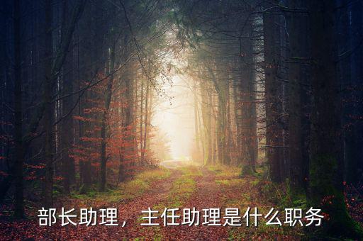 商務(wù)部部長(zhǎng)助理什么級(jí)別,主任助理是什么職務(wù)