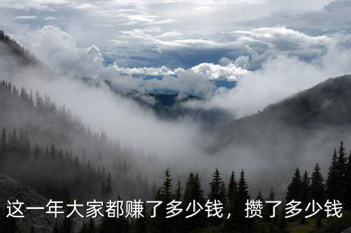 這一年大家都賺了多少錢，攢了多少錢