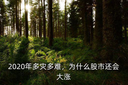 2020年多災(zāi)多難，為什么股市還會(huì)大漲