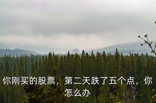 你剛買的股票，第二天跌了五個(gè)點(diǎn)，你怎么辦