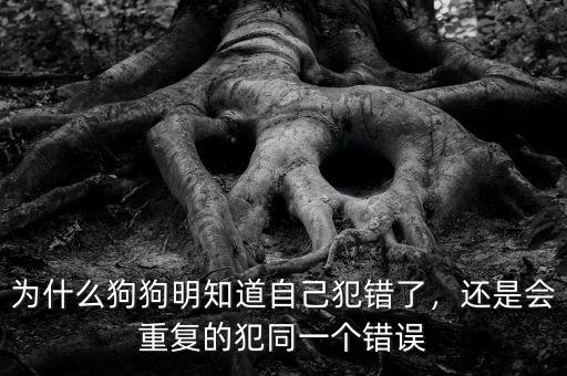 為什么狗狗明知道自己犯錯了，還是會重復的犯同一個錯誤