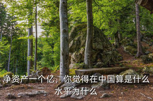 凈資產(chǎn)一個(gè)億，你覺(jué)得在中國(guó)算是什么水平為什么