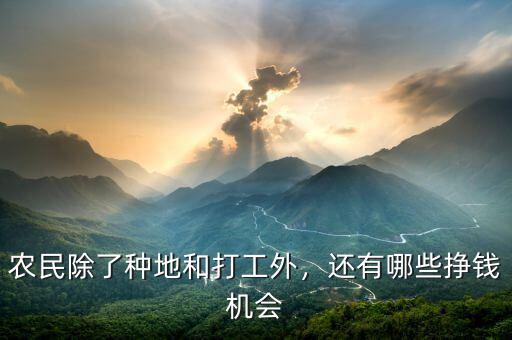 農(nóng)民除了種地和打工外，還有哪些掙錢機會