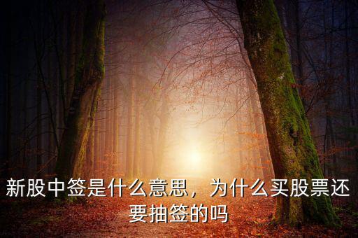 新股中簽是什么意思，為什么買股票還要抽簽的嗎