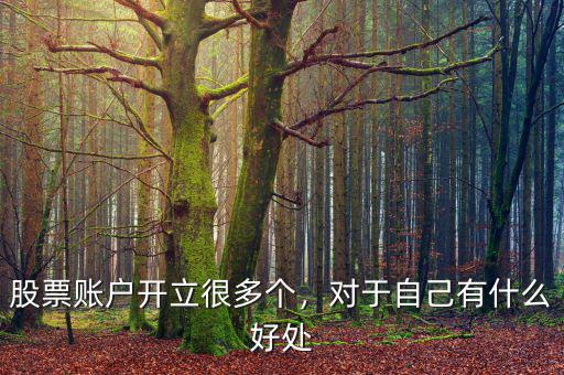 股票賬戶開立很多個，對于自己有什么好處