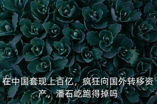 在中國套現(xiàn)上百億，瘋狂向國外轉(zhuǎn)移資產(chǎn)，潘石屹跑得掉嗎