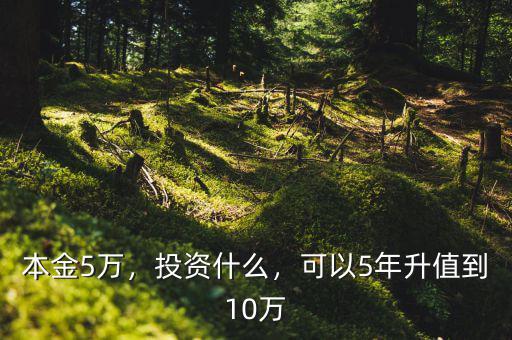 本金5萬，投資什么，可以5年升值到10萬
