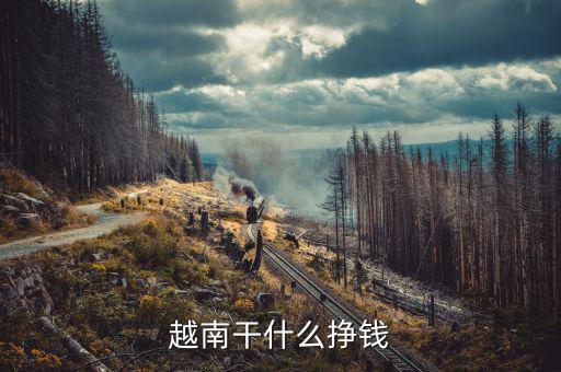 越南平陽(yáng)有什么生意好做,去越南做什么生意賺錢(qián)