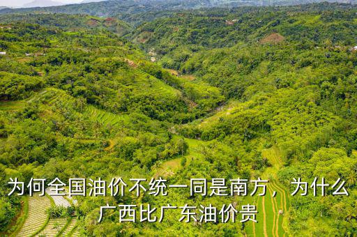 為何全國油價不統(tǒng)一同是南方，為什么廣西比廣東油價貴