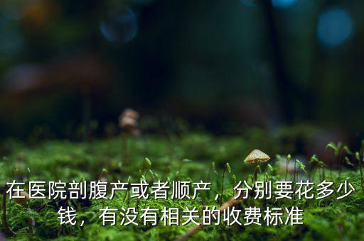 在醫(yī)院剖腹產(chǎn)或者順產(chǎn)，分別要花多少錢，有沒有相關(guān)的收費標(biāo)準(zhǔn)