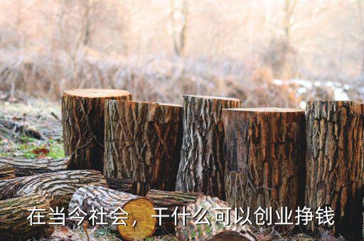 在當今社會，干什么可以創(chuàng)業(yè)掙錢
